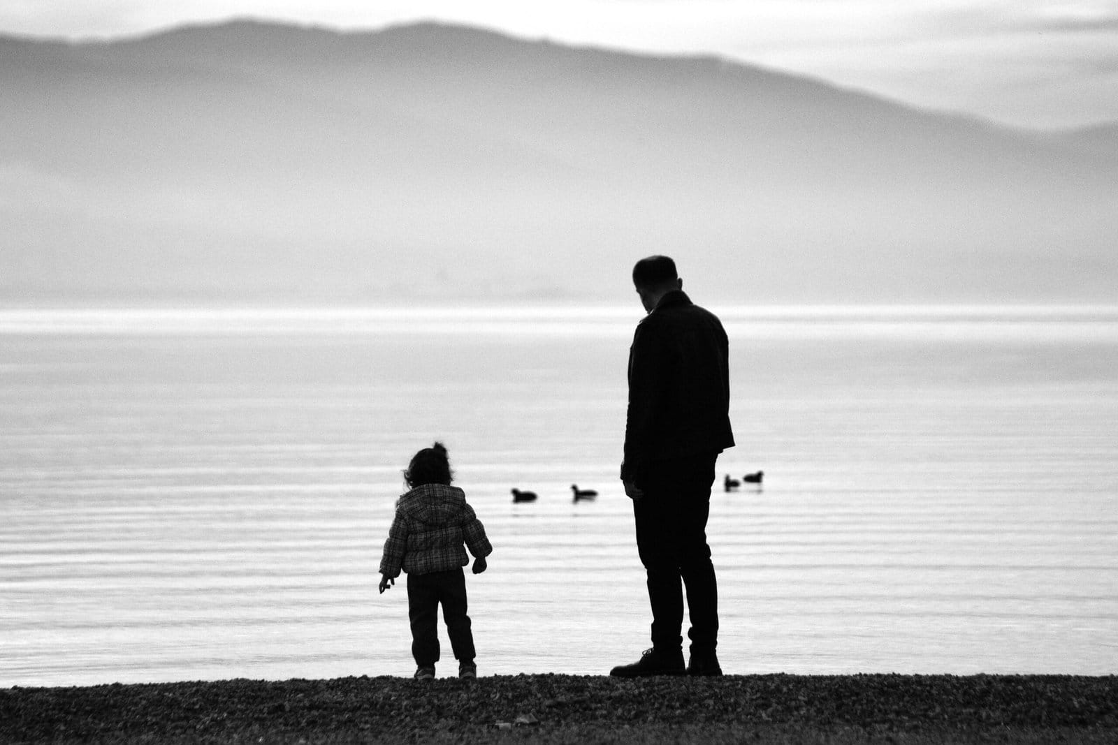 Silhouette of a man and child by a peaceful lake with ducks, black and white photo.